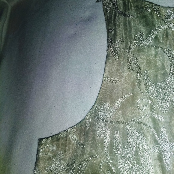 Dana Buchman Luxe evening silver tank top - Picture 2 of 8